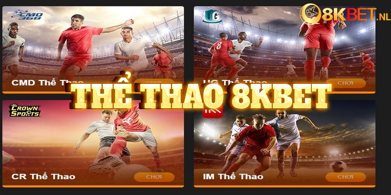 Thể Thao 8XBET