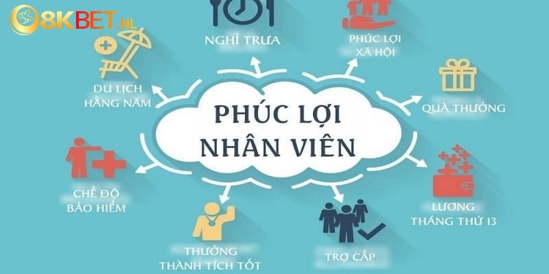 Khi là nhân viên của 8Kbet anh em sẽ nhận được phúc lợi hậu hĩnh