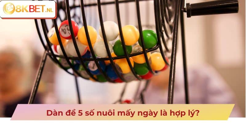 Dàn đề 5 số nuôi mấy ngày là hợp lý?